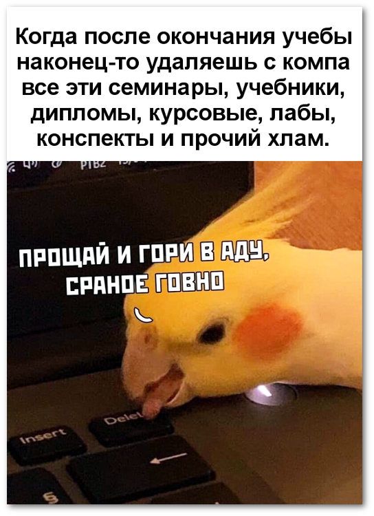Мемы Про Курсовую Работу Мемы Про Курсовую Работу