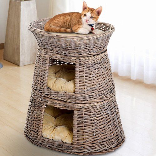 Archie Oscar Arbre A Chat Deidre 60cm Cat Tree Scratching Post Pet Furniture Cat Tree