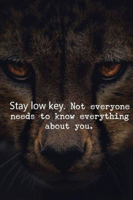 lions-with-good-morning