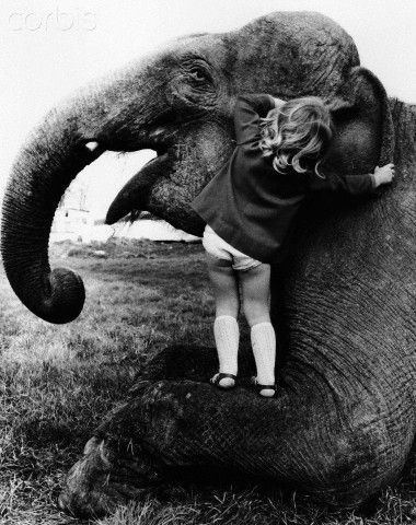 stock photo girl whispering in elephants ear | Sign in to download a comping image | Open in a separate window
