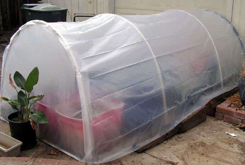 Como Hacer Un Invernadero Casero Barato Arquigrafico Como Hacer Un Invernadero Invernadero Casero Construir Un Invernadero