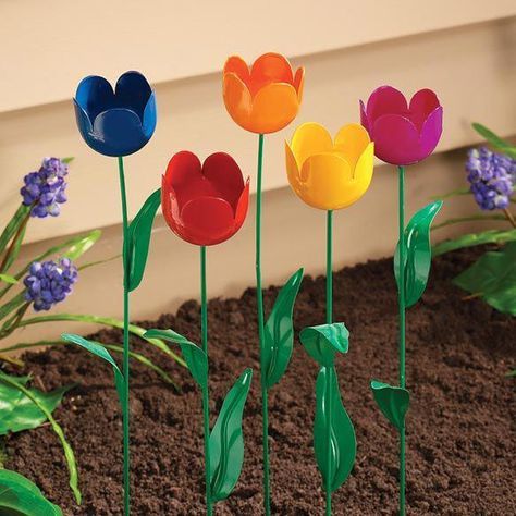 Colorful Garden