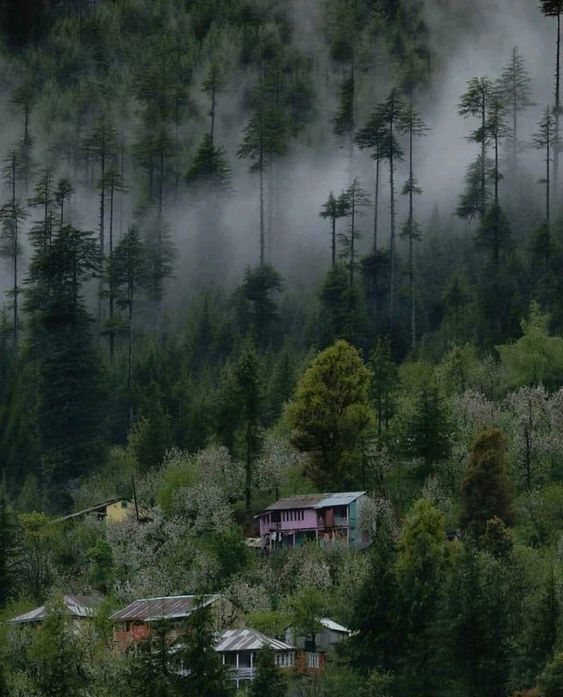 Nature Beauty