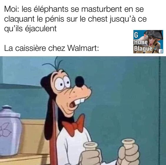 Les éléphants en la masturbation…  • • • • #memesdrole #memedrole #hah…