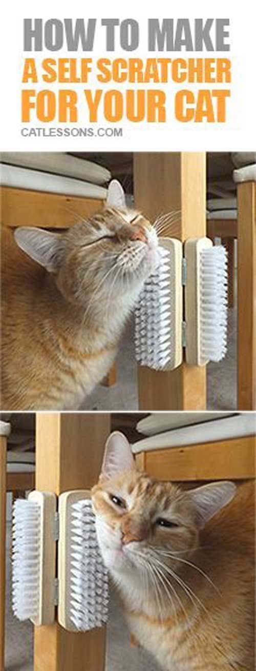Top 27 Diy Ideas How To Make A Perfect Living Space For Pets Diypantsfromscratch Diypantsideas Cat House Diy Diy Cat Tent Diy Dog Stuff