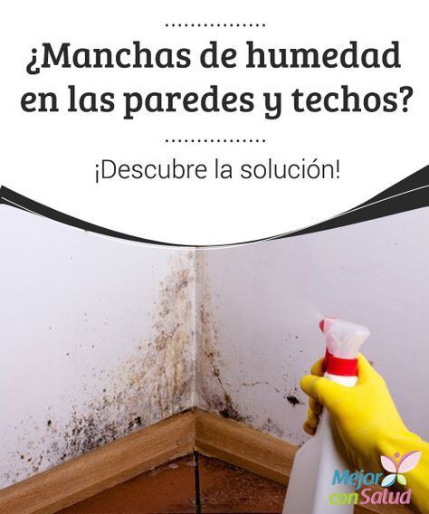 Manchas De Humedad En Las Paredes Y Techos Descubre La Solución Descubre Cómo Elimi Trucos De Limpieza Productos De Limpieza Caseros Consejos De Limpieza