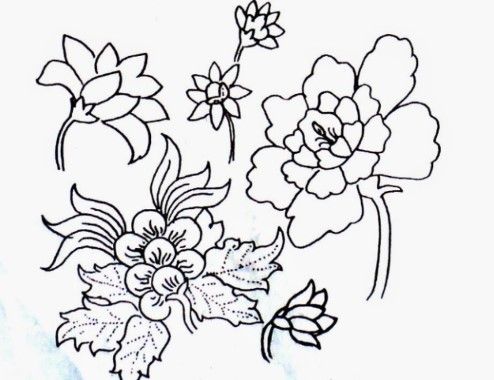 Contoh Menggambar Flora Fauna Contoh Menggambar Flora Fauna