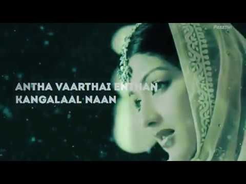 Kadhalar 💕dhinam!!Tamil whatsapp status video - YouTube