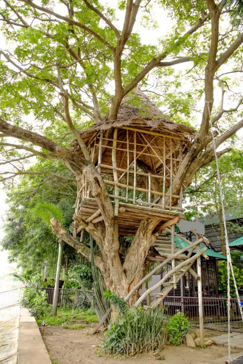 70 Fun Kids Tree Houses (Picture Ideas and Examples) | Tree house kids, Tree house diy, Tree house