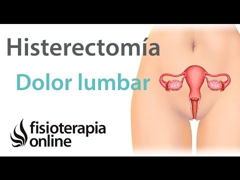 Perdida de peso tras histerectomia abdominal pain