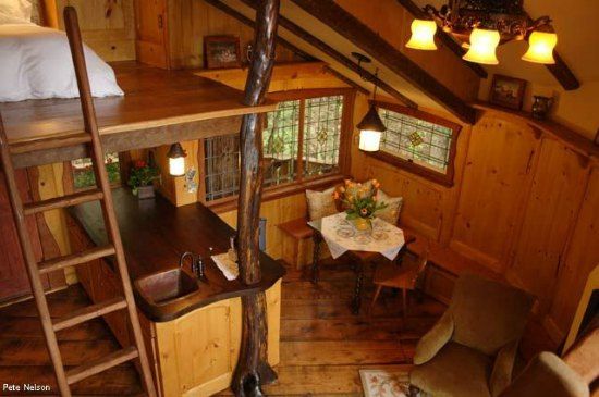 treehouse masters treehouses that are world renowned tree house masters treehouses and beautiful kitchen - Treehouse Masters Tree Houses Inside treehouse masters treehouses that are world renowned tree house masters treehouses and beautiful kitchen - Treehouse Masters Tree Houses Inside