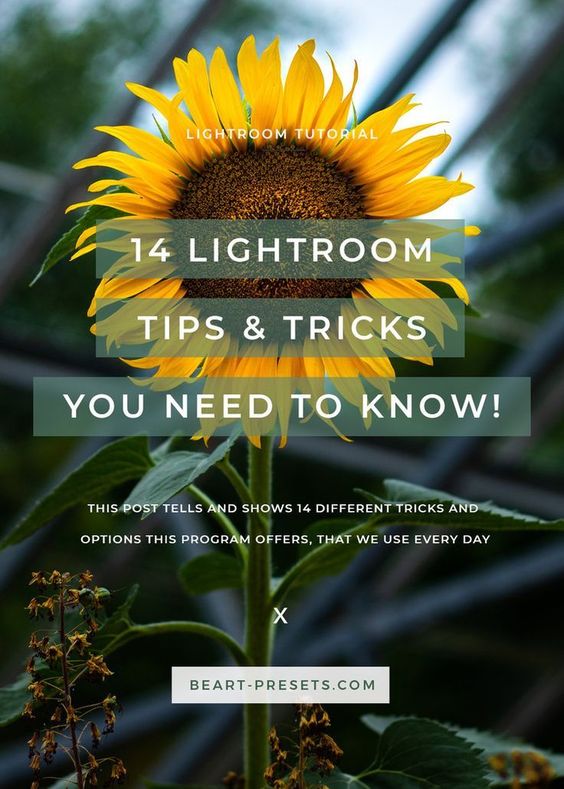 LIGHTROOM TIPS & TRICKS YOU NEED TO KNOW #lightroom #lightroomtips #photographytips #photography