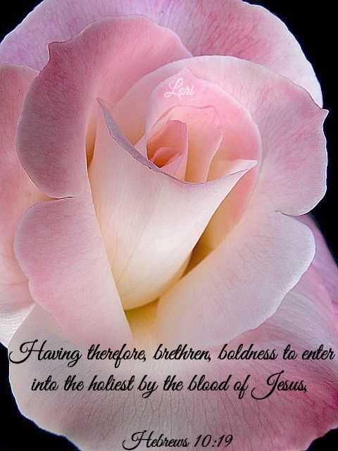 Hebrews 10:19 KJV | Perfect peace, Hebrews 10, 10 things