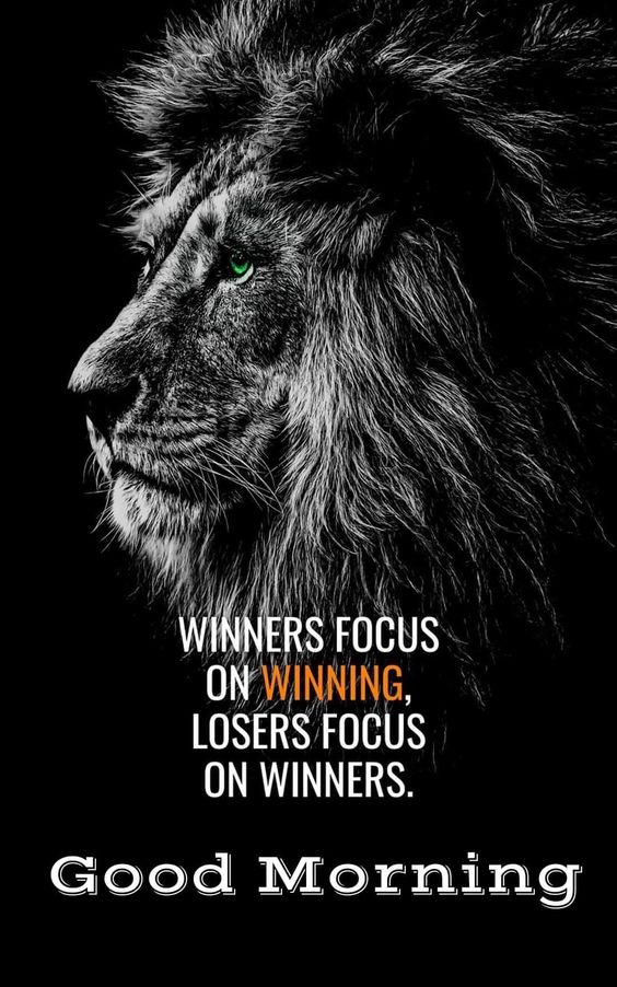 lions-with-good-morning