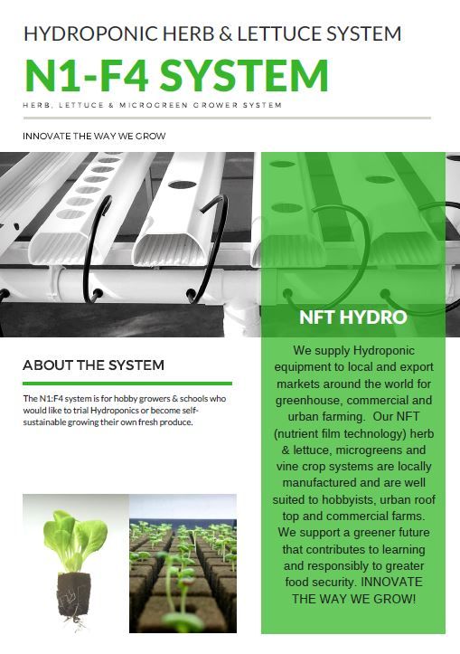 Grow An Endless Supply Of Herbs From Cuttings Learningherbs Growing Herbs Plants Grown In Water Planting Herbs