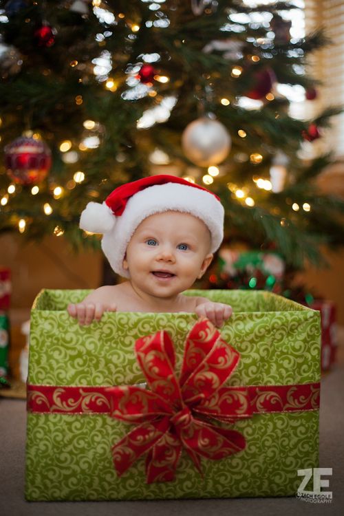 Image result for baby hiding in christmas tree