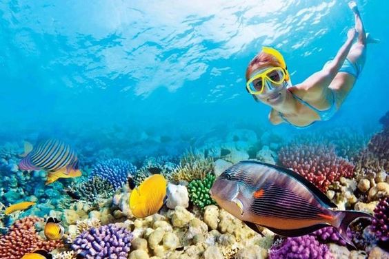 Mauritius travel guide - letsaskme