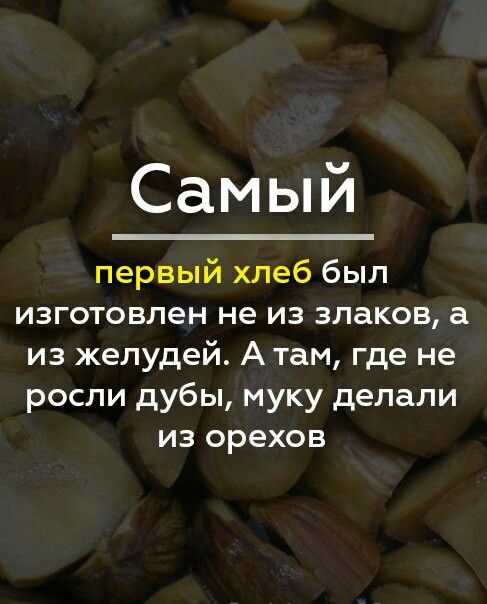 факти-бг