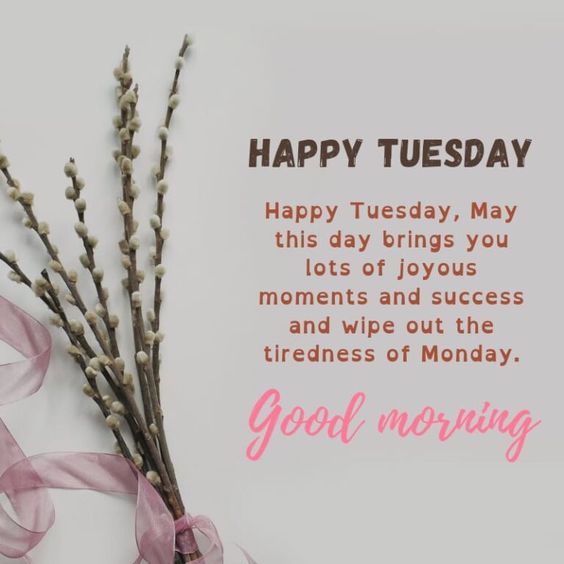 Good morning Tuesday blessings Quotes and Images