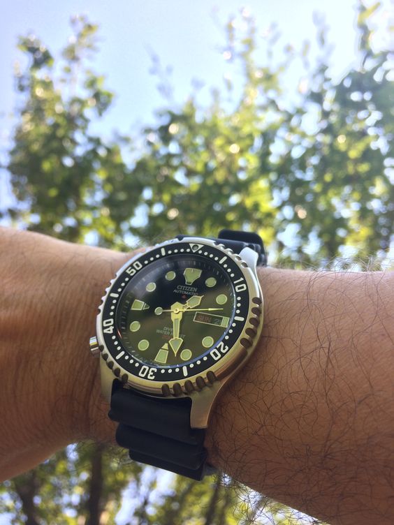 Citizen, automatic promaster diver.