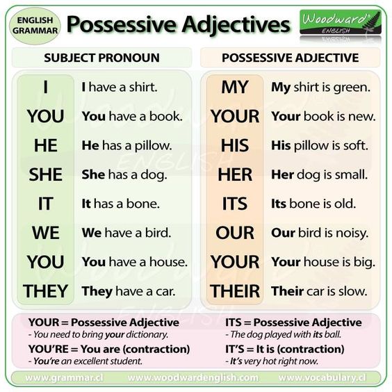 Possessive Adjectives in English