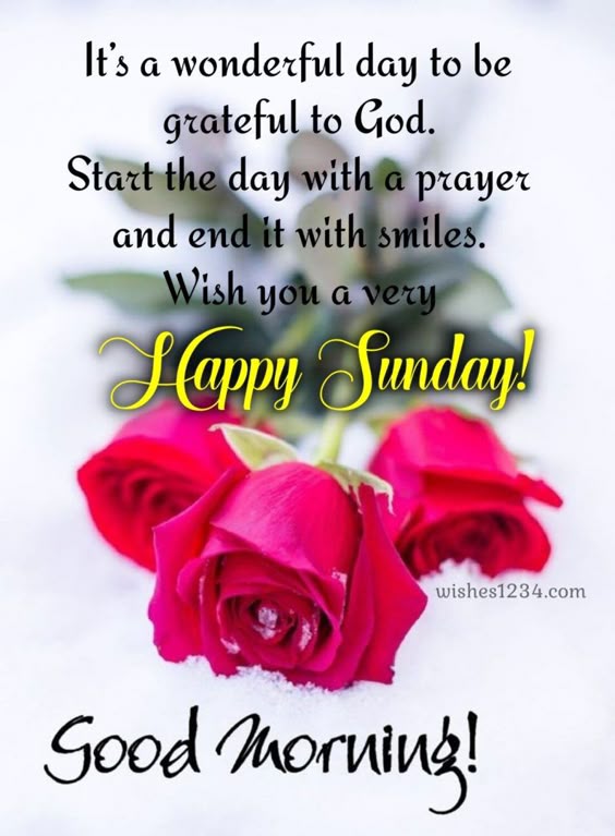 200 Happy Sunday Sunday Blessings Quotes Images wishes