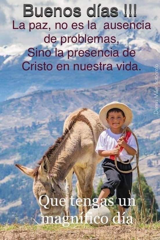 Pin By Tayira Mora Black On Good Morning Buenos Días In 2020 Buenos Dias Good Morning Morning
