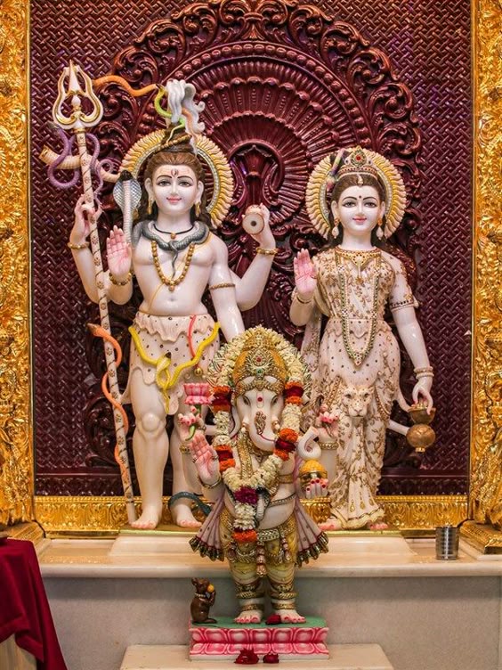 09 February 2020 - HH Mahant Swami Maharaj\'s Vicharan