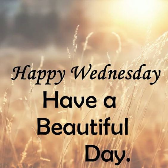 happy-wednesday