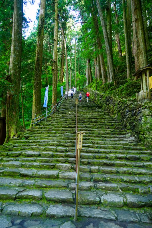 和歌山の絶景 那智の滝 関西屈指のパワースポットでご利益と癒やしを手に入れよう Ryotabi Lab 那智の滝 和歌山 滝 和歌山の絶景 那智の滝 関西屈指のパワースポットでご利益と癒やしを手に入れよう Ryotabi Lab 那智の滝 和歌山 滝