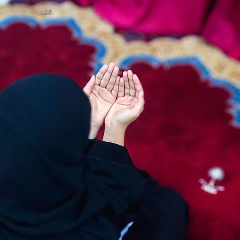 علينا أن نكون ممتنين لكل موقف وهبنا معنى لكل إقتباس وجدنا أنفسنا فيه لكل مشهد عرفنا على أنفسنا أكثر لكل كتاب أضاء Picturesque Okay Gesture