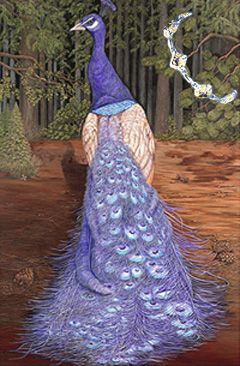 Purple Perfection-Peacock