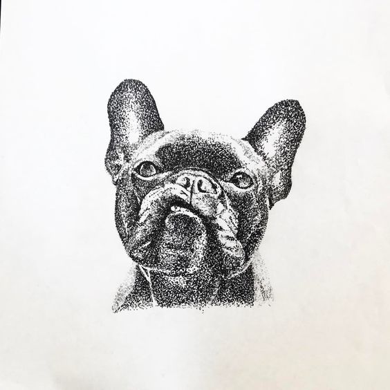 Imagen De Sanna Nuojua En Bulldogit Dibujos A Lapiz Dibujos Arte Imagen De Sanna Nuojua En Bulldogit Dibujos A Lapiz Dibujos Arte