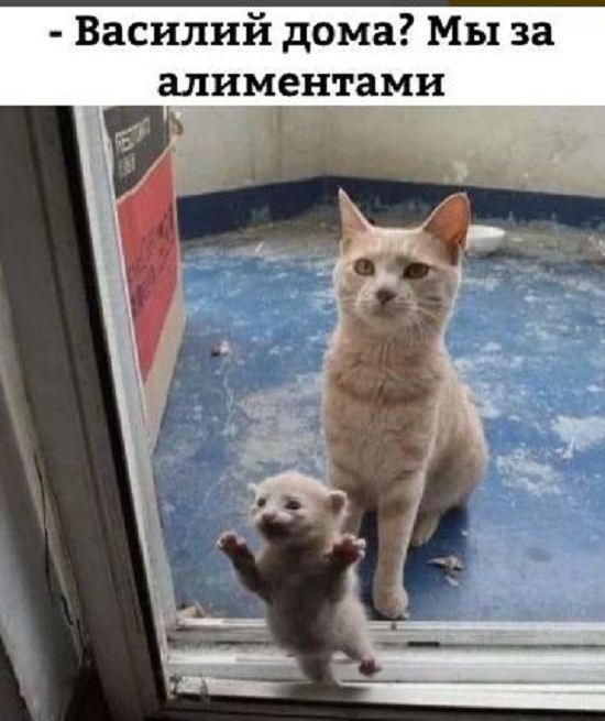 Прикольные Ржачные До Слез Фото Прикольные Ржачные До Слез Фото