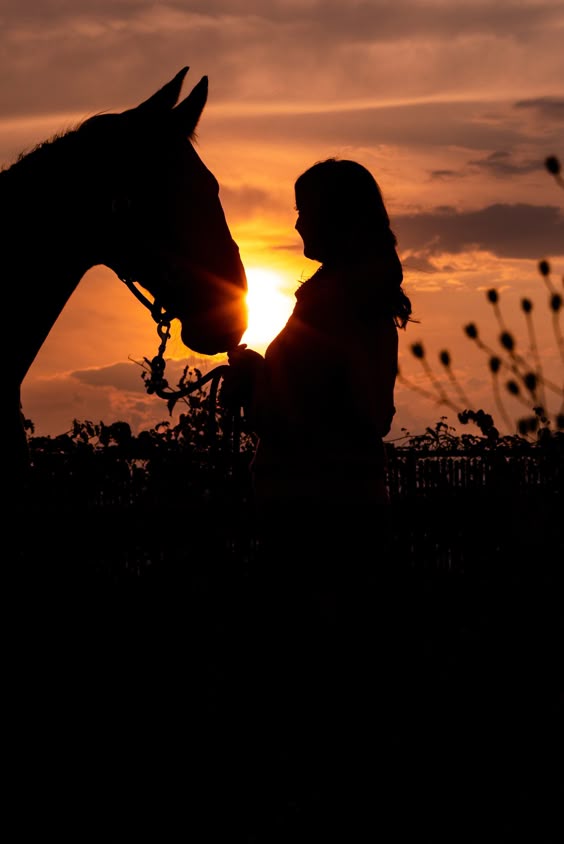 Kate & Claus | Wisconsin Horse and Rider Photos | Custer, WI