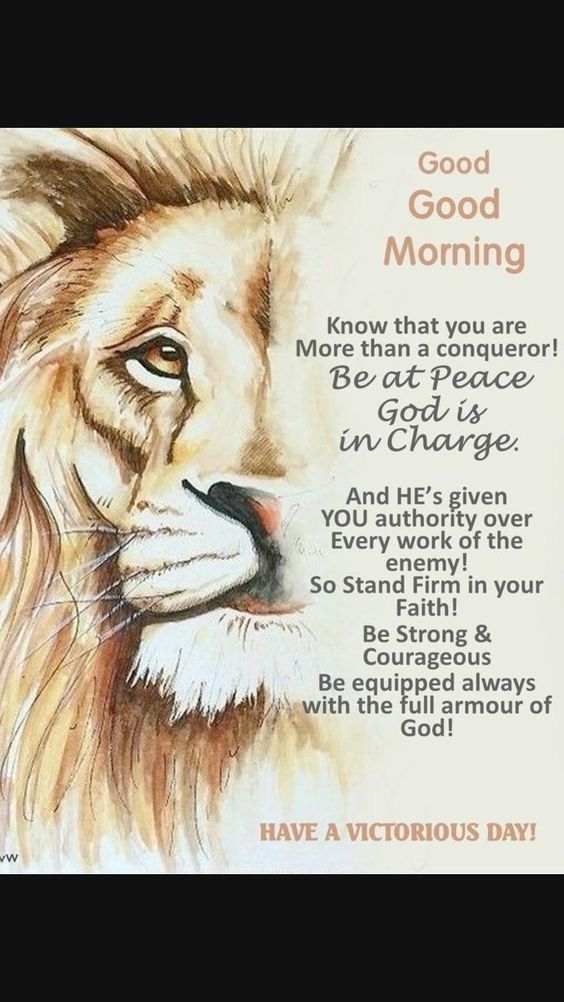 Know that you are more than a conqueror be at peace Gods In Charge