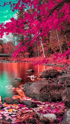 Autumn wallpaper by georgekev - Download on ZEDGE™ | 083f