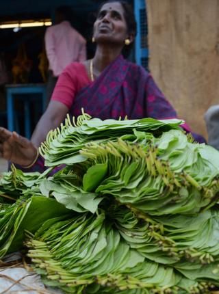 Scenes from Singanallur Sandhai in Tamilnadu: Seller of fresh betel leaves. Courtesy: The Hindu