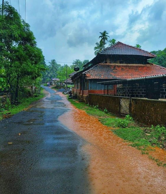 good-morning-kerala-nature-photos