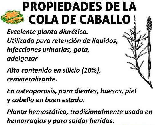 Pin En Hierbas