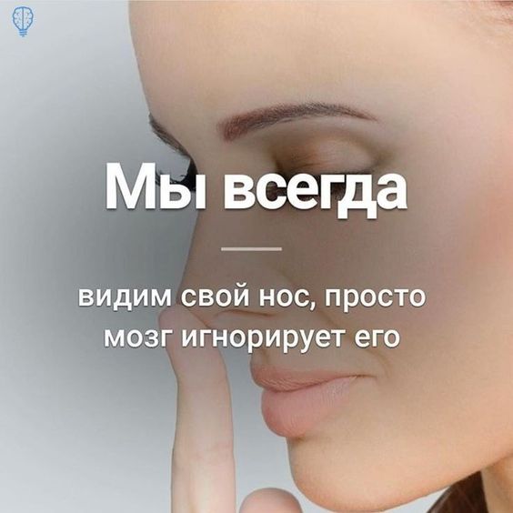 факти-бг