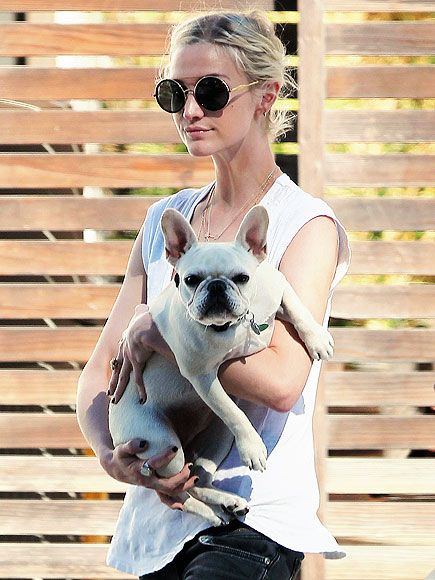 Ashlee Simpson And Her French Bulldog Puppy Alabama Ashlee