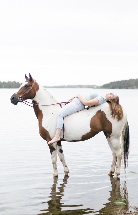Lawrencetown Beach Equestrian