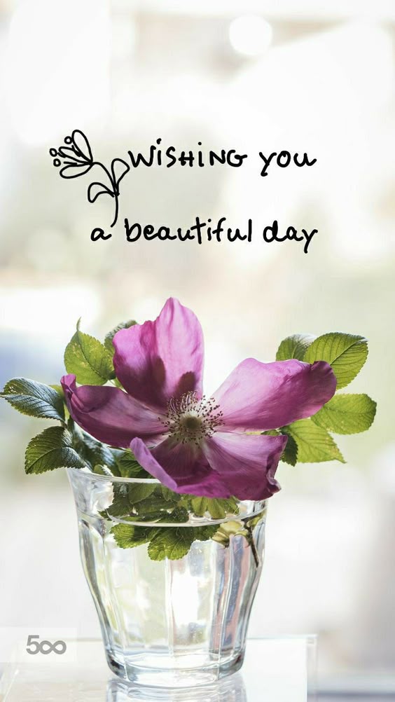 Pin by Araya Taspohn on Good Morning Greetings | Good morning flowers, Good morning images flowers, Beautiful morning messages