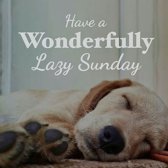 Sunday Quotes: 60 Best Happy Sunday Sayings to Motivate You