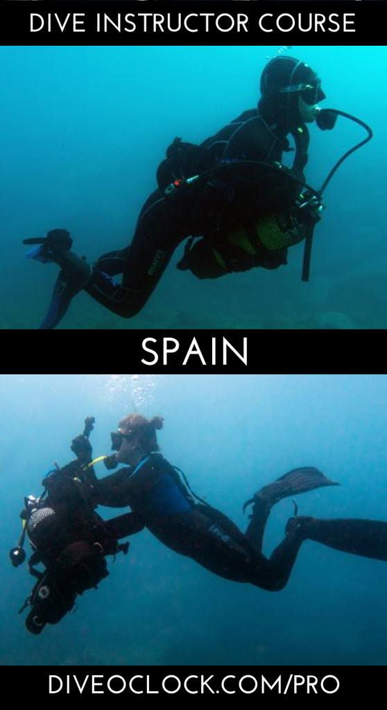Ssi Itc Click For More Ssiitc Ssiinstructor Ssidivemaster Diveinstructor Diveinstructorlife Divei Best Scuba Diving Padi Diving Scuba Diving Courses
