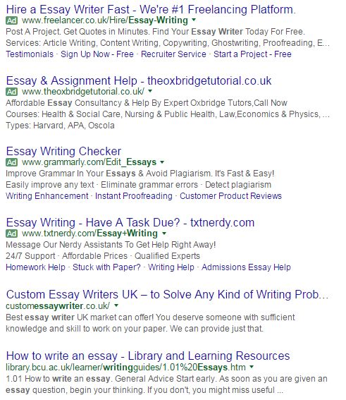 best essay writers