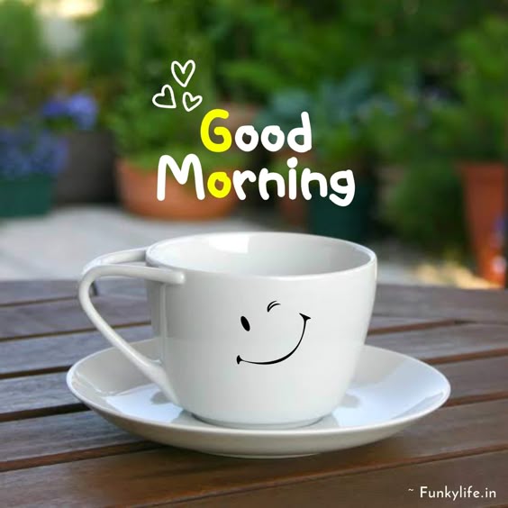 520+ New Good Morning Images, Photos & Wishes Pictures 2023