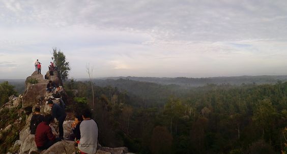 Batu Dinding Km 45 Balikpapan Kalimantan Timur Indonesia Kalimantan