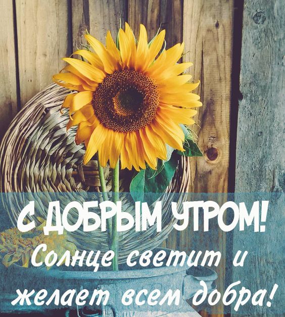 Прикольное Летнее Фото Прикольное Летнее Фото